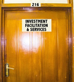 INVESTMENT FACILITATION AND SERVICES